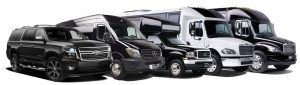 Dallas Limo Buses Rental Services Transportation Dallas Limo Buses Rental Services Transportation, White, Black Car, Birthday, Party Bus, Nightlife, Wedding, Bachelor, Bachelorette, Funeral, Memorial, Charter, Shuttle, Airport, Sporting Events, Music Venue, Nightlife