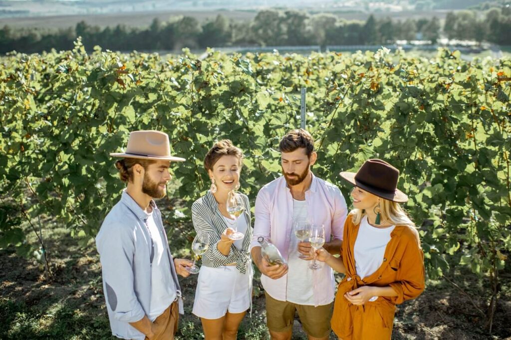 Comprehensive Wine Tour Transportation Services in Dallas​